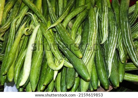 fresh and healthy Snake Gourd stock on shop