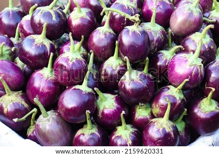 Fresh and healthy Raw Brinjal Stock on Shop