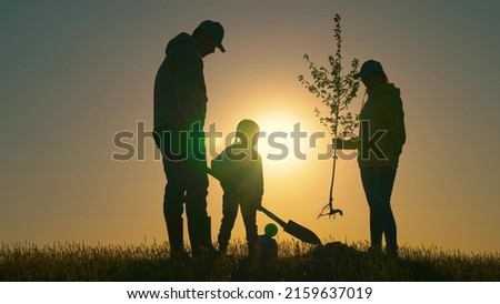 Silhouette of family with tree at sunset. Family with shovel and watering can plants young trees sprout in soil. Farmer dad, mom child planting tree. Happy family team planting tree in sun spring time Royalty-Free Stock Photo #2159637019
