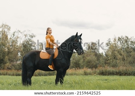 Black horse with female rider upon back standing in meadow, side view. Royalty-Free Stock Photo #2159642525