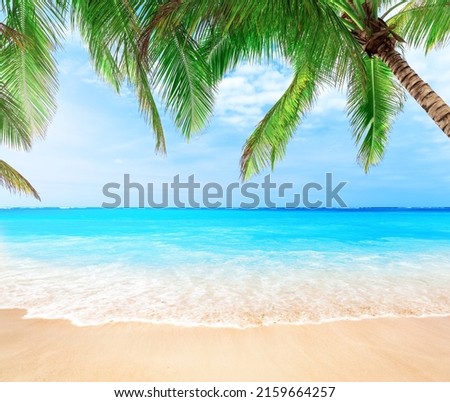 Coconut palm trees against blue sky and beautiful beach in Punta Cana, Dominican Republic. Vacation holidays background wallpaper. View of nice tropical beach. Royalty-Free Stock Photo #2159664257