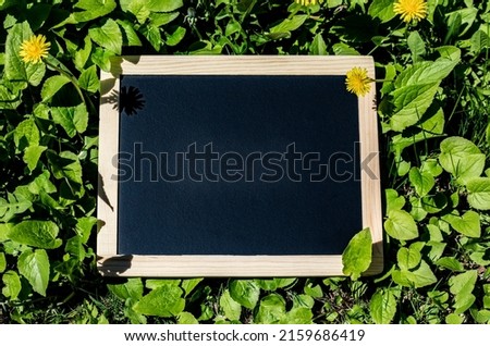 A high angle shot of an empty chalkboard (blackboard) with wooden frame, on green grass with herbs and flowers, to write your message on - stock photography
