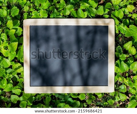 A high angle shot of an empty chalkboard (blackboard) with wooden frame, on green grass with herbs and flowers, to write your message on - stock photography