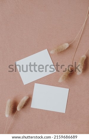 Blank paper sheet cards with mockup copy space on neutral coral background. Aesthetic bohemian minimal business brand template. Flat lay, top view