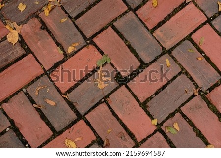 brick sidewalk in the fall with leaves