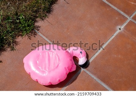 small pink flamingo float deflated on the edge of a swimming pool Royalty-Free Stock Photo #2159709433