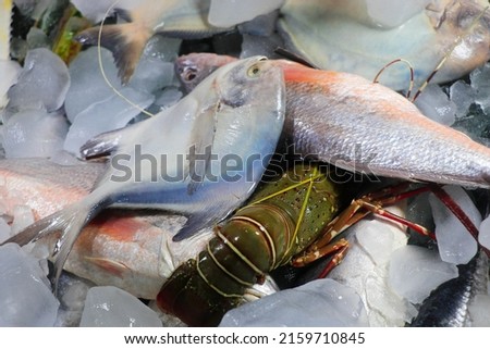 Fresh Sea Fishes with Ice in the market near Cox's Bazar Sea Beach, Bangladesh Royalty-Free Stock Photo #2159710845