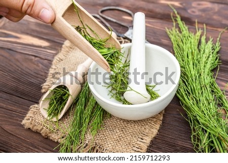 Herbalist pours dried cut medicinal Equisetum arvense, the field horsetail or common horsetail herb into an apothecary white mortar Royalty-Free Stock Photo #2159712293