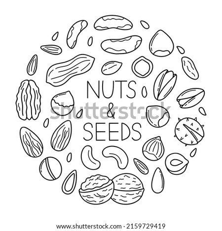 Hand drawn set of nuts and seeds doodle. Almond, hazelnut, pistachio, macadamia, cashew, walnut in sketch style.  Vector illustration isolated on white background Royalty-Free Stock Photo #2159729419