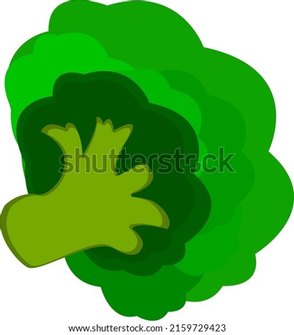 Broccoli vector isolated illustration on white background