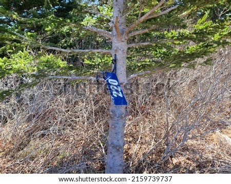A  civic number sign that has fallen sideways on a tree.