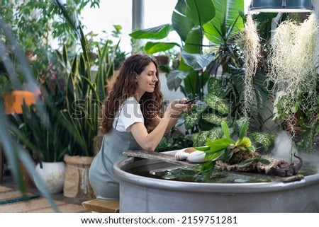 Happy young woman gardener taking photo of aquatic plant for social media in greenhouse, holding using smartphone under freestanding bath with water. Greenery at home garden, love for plants, hobby.