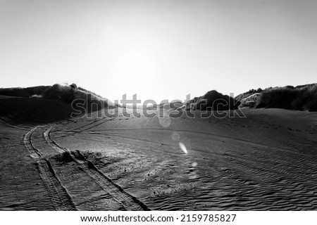 Ripples and tracks through Black sands of rolling Castlecliff dunes as sunsets behind them creating lens flare effect, Whanganui, New Zealand.