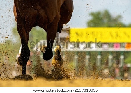 A horse gallops past, kicking up dirt Royalty-Free Stock Photo #2159813035