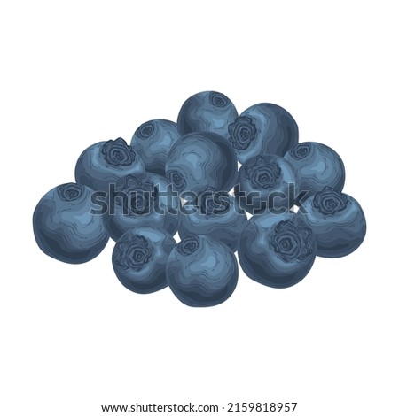 element blueberry vector fruit berries health summer berry spring tropical antioxidant cartoon blue