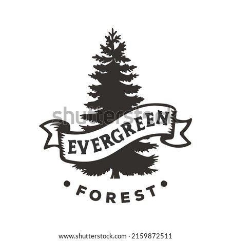 evergreen logo vintage illustration design, pine trees logo