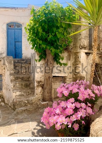 A typical street in the old village of Lefkes on the island of Paros in the Cyclades, Greece. This picture shows a White House with a blue door, pink flowers and trees