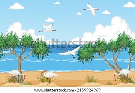 White ibis group at the beach illustration