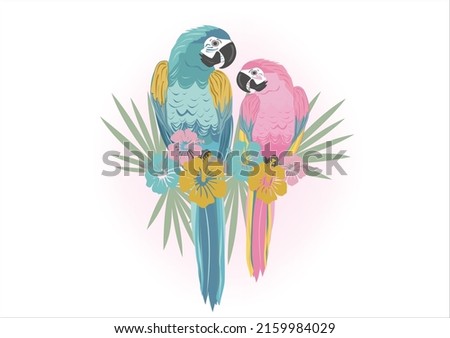 pink parrot vector hand drawn design vector 