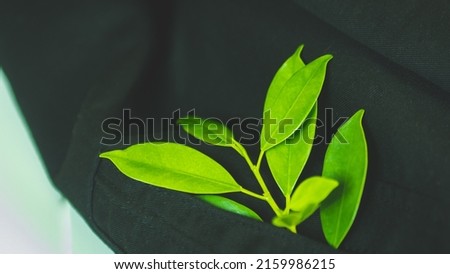 The leaves in the business suit pocket close up represent nature's work in protecting the green environment.