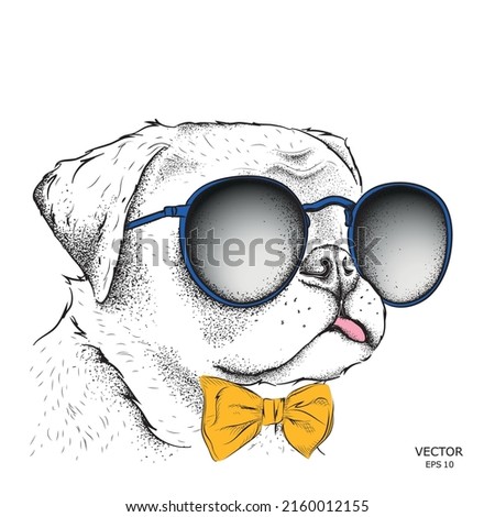 Portrait of bulldog in the colored glasses. Ukrainian style. Vector illustration.