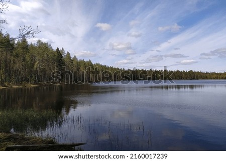 Russia. St. Petersburg and Leningrad region. Everyday life of St. Petersburg and Leningrad region in May 2022. Beautiful lake.