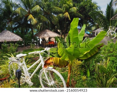 La Digue: The Seychelles' tropical biking paradise