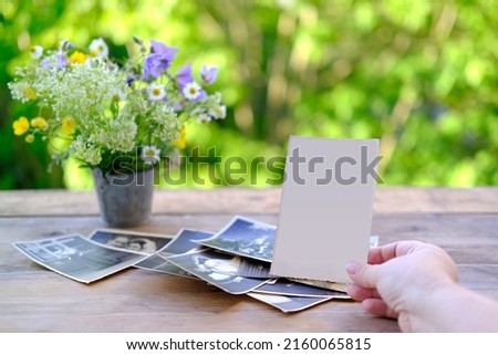 female hands fingering set vintage photos with empty blank, photographs on table, bouquet of wild flowers, concept of genealogy, memory of ancestors, family tree, nostalgia, remembering Royalty-Free Stock Photo #2160065815