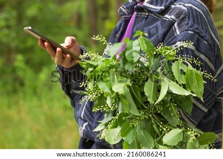 Woman using a smartphone while walking in the green spring forest. Chatting in social media, enjoying mobile service. Nature background. People and gadgets concept. Social Media Day.