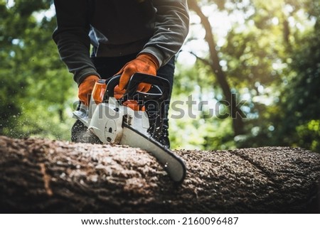 Cordless Chainsaw. Close-up of woodcutter sawing chain saw in motion, sawdust fly to sides. Chainsaw in motion. Hard wood working in forest. Sawdust fly around. Firewood processing. Royalty-Free Stock Photo #2160096487