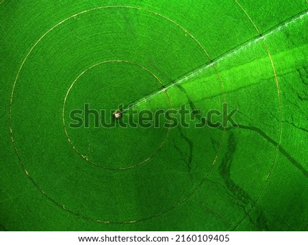 Aerial view from a drone flying above a green farm field growing crops growth with irrigation pivot sprinklers Royalty-Free Stock Photo #2160109405