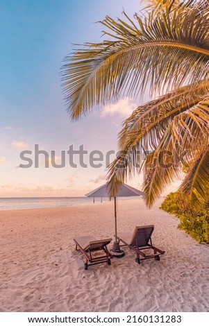 Amazing beach. Chairs on the sandy beach sea. Luxury summer holiday and vacation resort hotel for tourism. Inspirational tropical landscape. Tranquil scenery, relax beach, beautiful landscape design Royalty-Free Stock Photo #2160131283