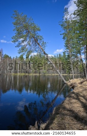 Spring day on the forest river. A national park in central Russia.