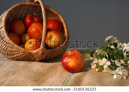 basket of red apples on burlap                               