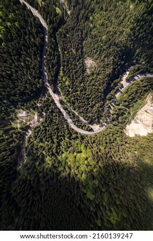 Aerial View of a road on a forest. Asphalt road in the forest at midday. Picturesque beautiful view. Narrow street between woodland