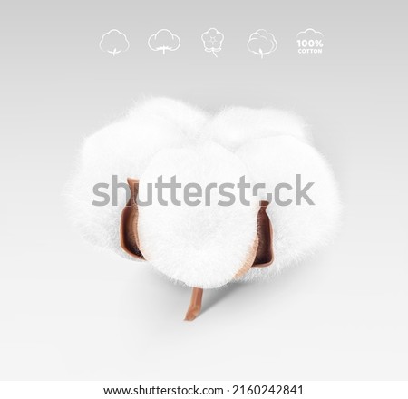High realistic cotton boll with icons. Vector illustration. Great for different backgrounds. EPS10.	 Royalty-Free Stock Photo #2160242841