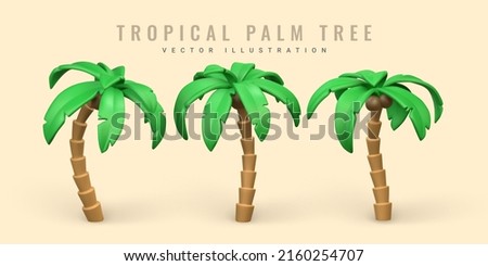 3D Cute cartoon tropical palm tree. Realistic jungle tree on white background. Summertime object. Vector illustration.