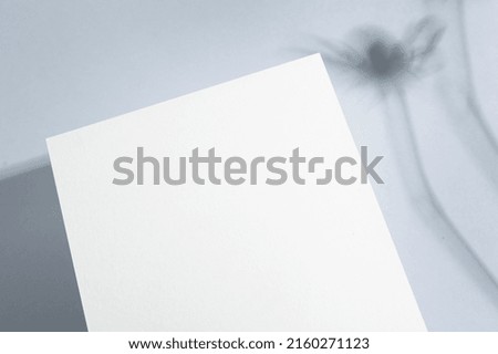 Template paper with green plant shadow on pastel beige background , great design for any purposes. Abstract background. Banner template. Advertising 