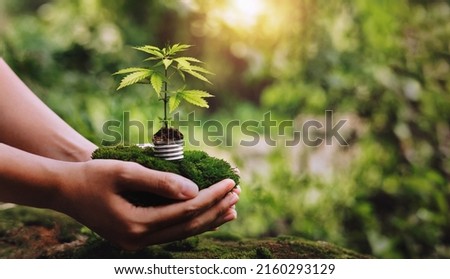 plant growing on hand with sunshine