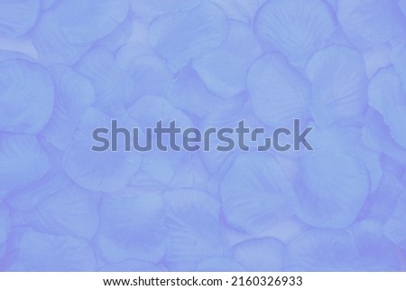 petal inspired by blue hydrangea