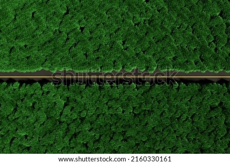 Bird's eye view of a straight road in a dense green forest, aerial landscape.