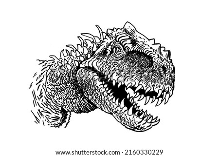 Graphical portrait of tyrannosaurus isolated on white, jpg illustration