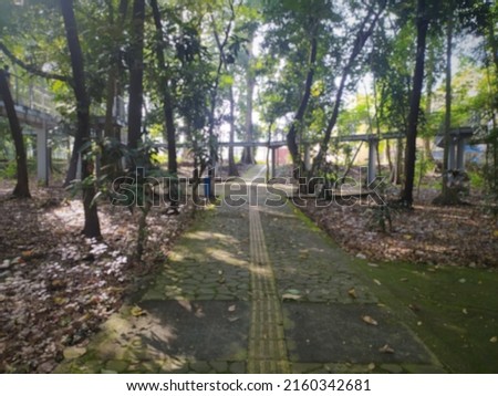 defocus background picture of a view in the middle of a park with walking paths, trees, and fallen leaves