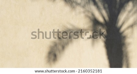 Palm leaves shadow on beige wall, panoramic texture background for summer mock-up