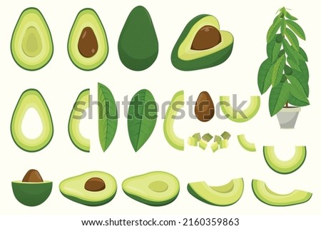 Cartoon avocado. Ripe avocado fruits, healthy nutritious natural food and avocado slices flat vector illustration set. Green avocado, tropical healthy food, healthy food exotic Royalty-Free Stock Photo #2160359863