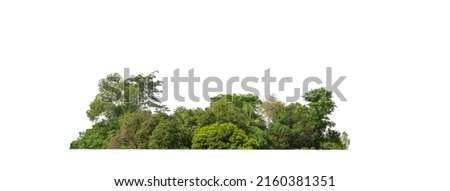 Green Trees isolated on white background.are Forest and foliage in summer for both printing and web pages with cut path and alpha channel Royalty-Free Stock Photo #2160381351