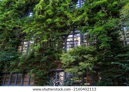 Green facade, eco house concept. Ivy covered building in Tbilisi Georgia. Vine creeper around window on facade house covered wild grape.  Royalty-Free Stock Photo #2160402113