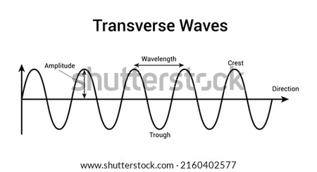 Transverse waves. Vector illustration isolated on white background.
