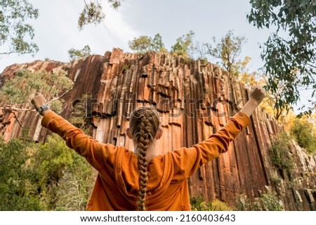 Organ piping columnar basalt rock formation. Sawn Rocks at Mt. Kapatur National Park, NSW, Australia. Rare hexagonal organ piping rock formation - remains of volcanic lava flow Royalty-Free Stock Photo #2160403643