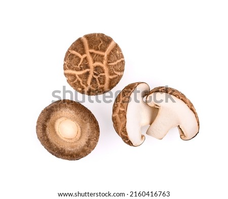 Top view of shiitake mushrooms isolated on white background Royalty-Free Stock Photo #2160416763